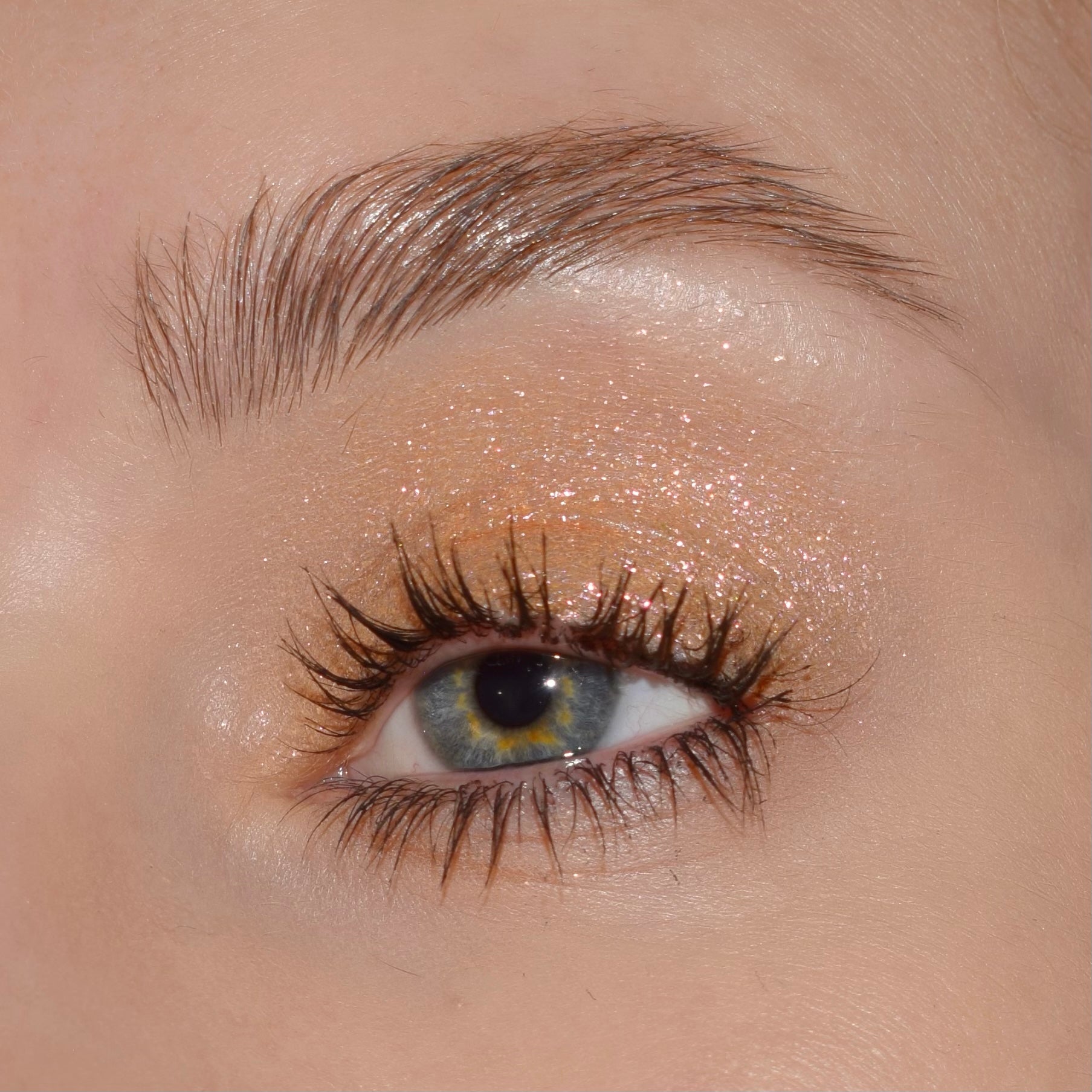 Chroma Lux Collection